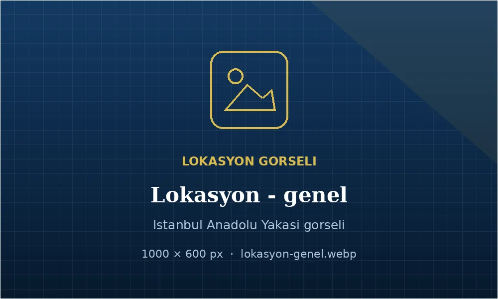 Kurtköy tercüme hizmeti